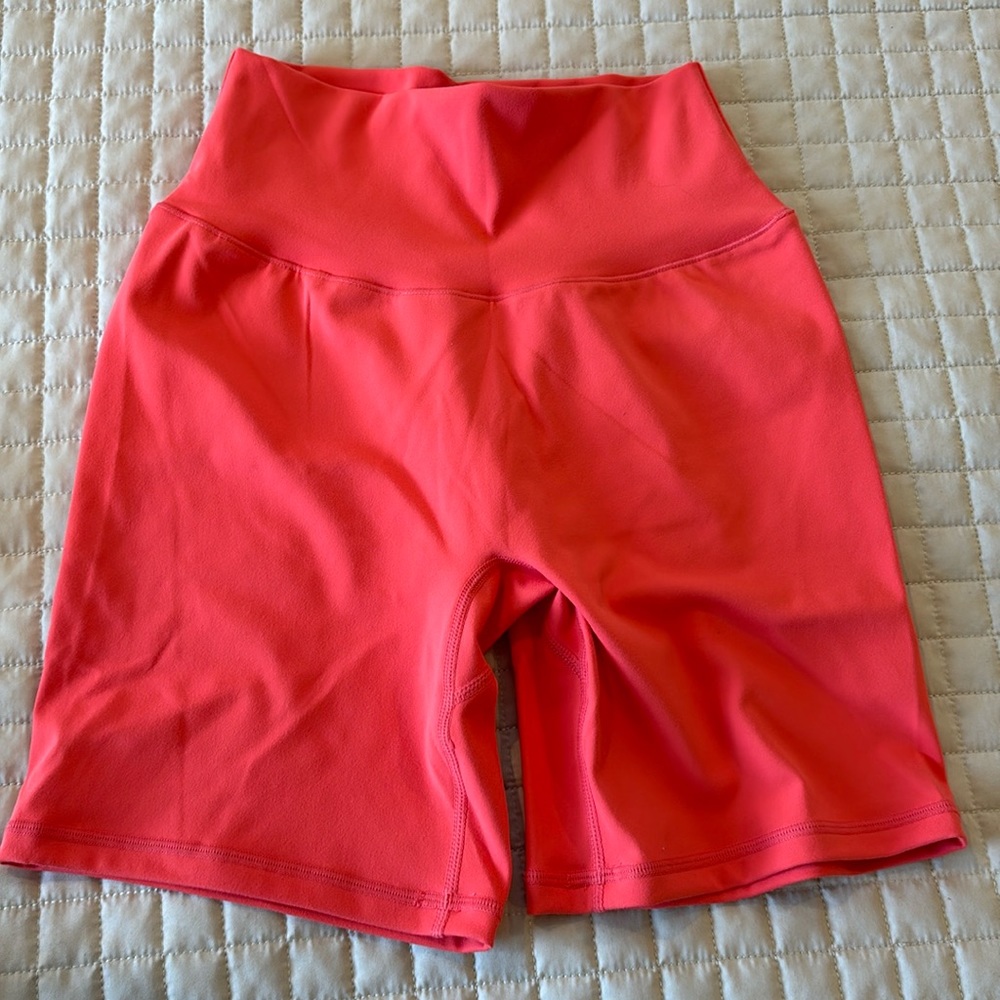 Ptula Cassey medium 6in in punch